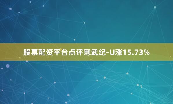 股票配资平台点评寒武纪-U涨15.73%