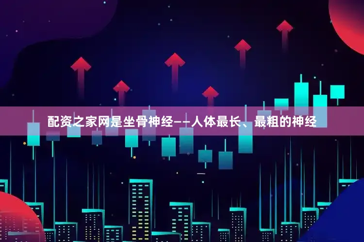 配资之家网是坐骨神经——人体最长、最粗的神经